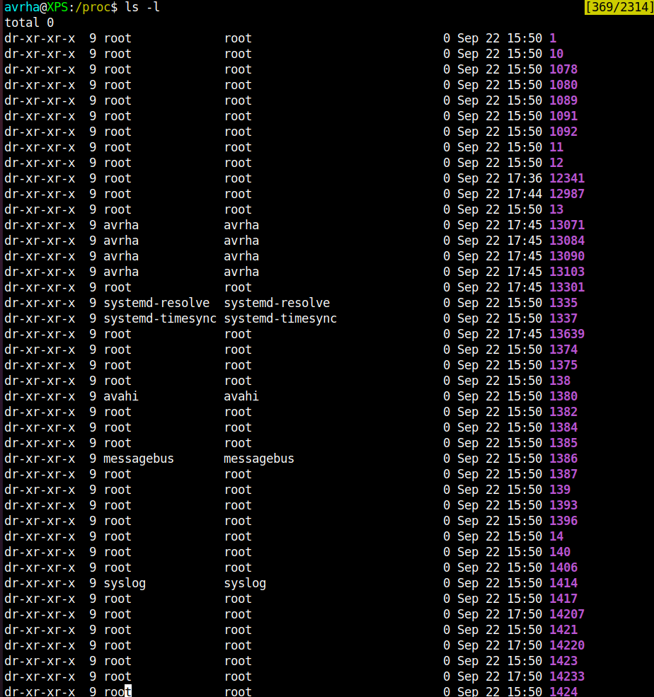 Proc Snapshot